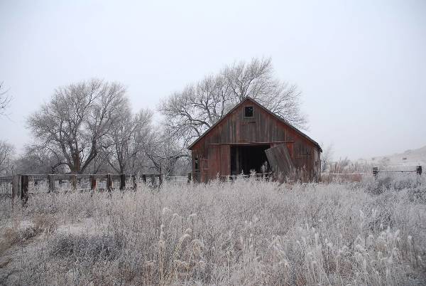 Mendota Ranch (12/13/2007)