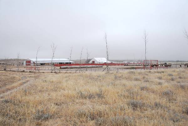 Mendota Ranch (12/13/2007)