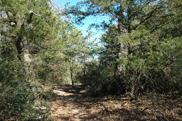 McKinney Roughs Nature Park (1/17/2008)