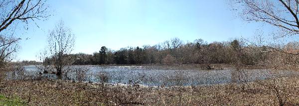 Buescher State Park (2/26/2008)