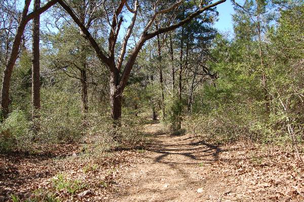 Buescher State Park (2/26/2008)