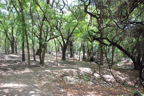Judson Nature Trails (7/5/2018)