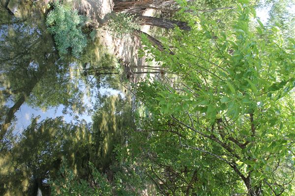 Pecan Creek Trail (8/31/2018)