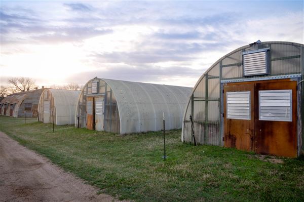 Montesino Ranch (3/5/2017)