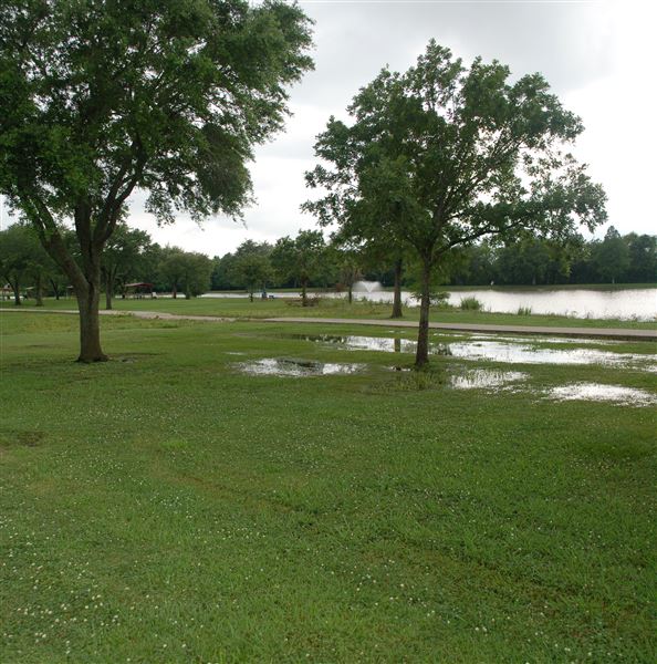 Kitty Hollow Park (5/10/2019)