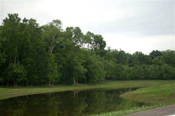 Kitty Hollow Park (5/10/2019)