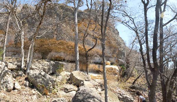Milton Reimers Ranch County Park (3/7/2008)