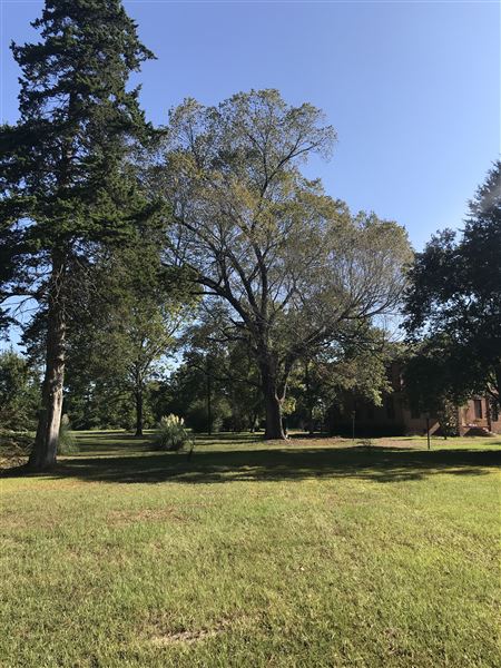 Historic Grove House (11/9/2019 - Credits: Lisa Jackson)