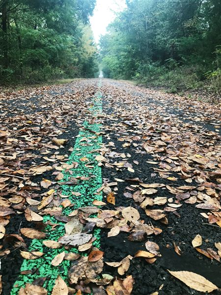 Trail de Paris (12/10/2019 - Credits: Lisa Mikitarian)