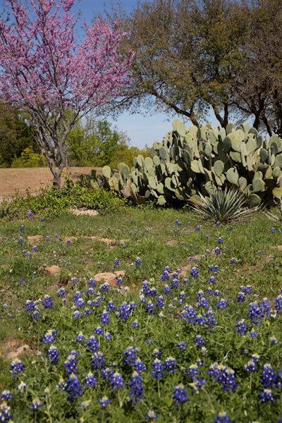 Cross Timbers Golf Course (3/30/2019 - Credits: Jim Stevens)