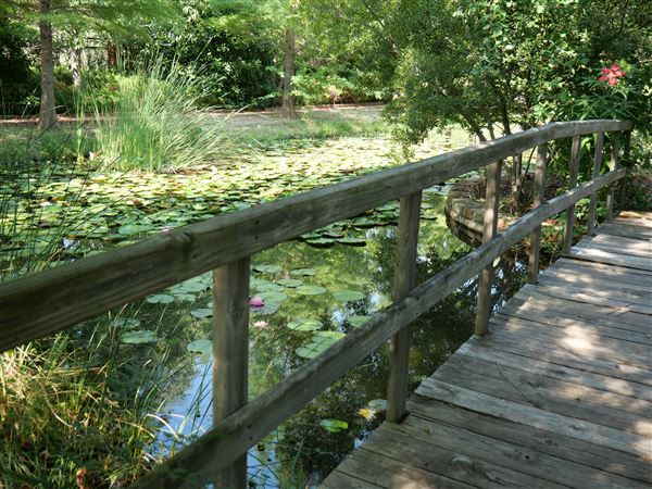 Clark Gardens Botanical Park (7/16/2019)