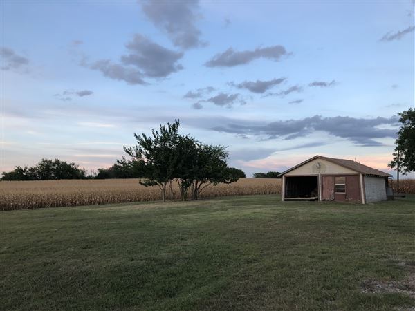 Gil Farmhouse & Cornfield (7/28/2020 - Credits: Dana Gil)