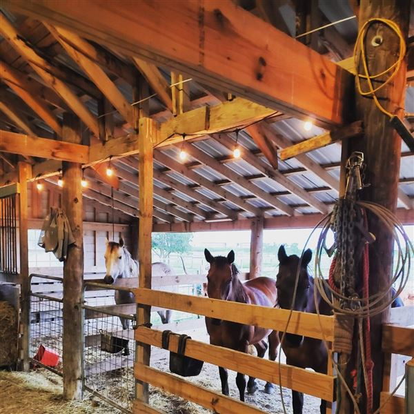 The Rustoration Ranch (8/2/2020 - Credits: Self)
