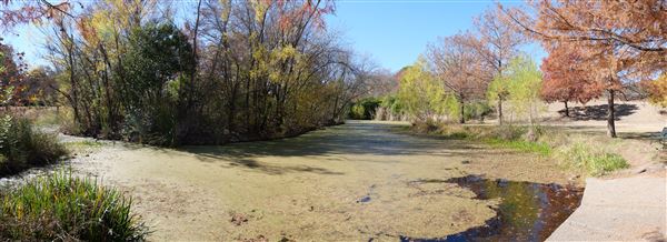 Beverly S. Sheffield Northwest District Park (12/9/2020)