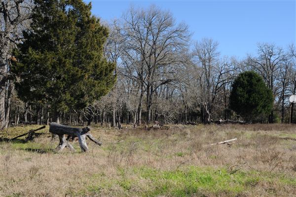 Rural Farm - Two House Property (6/7/2020)