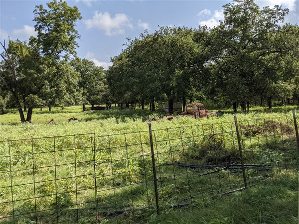 Rural Farm - Two House Property (8/12/2021 - Credits: Daniel Williams)