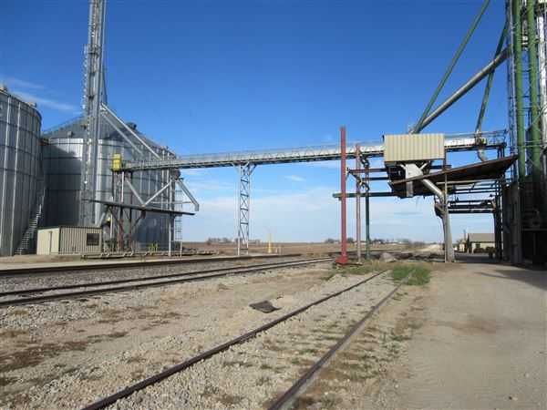Top Tier Grain & Feed (1/21/2022 - Credits: Jane Jeschke)