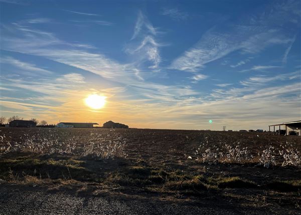 Plainview Terrain (2/1/2022 - Credits: Tori Huddleston)