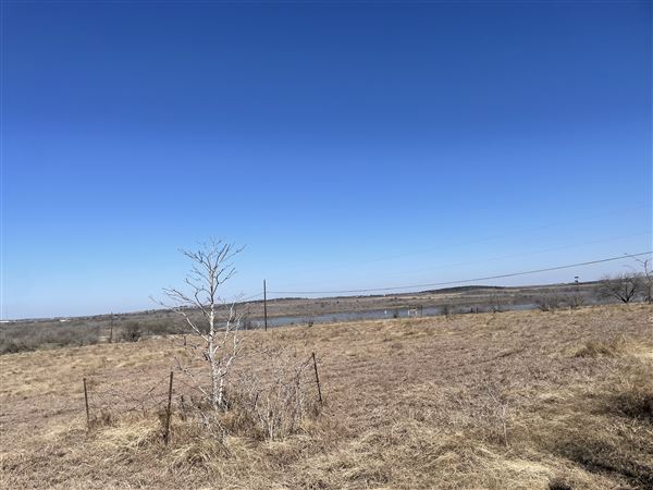 Studio Estates Acres (2/7/2022 - Credits: josephine safford)