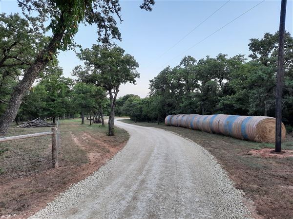Windy Ridge Ranch (6/14/2022)
