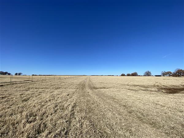 Fairlea Longhorn Ranch (12/7/2022)