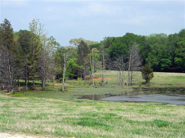 Maysel Ranch (4/1/2010)
