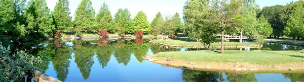 Clark Gardens Botanical Park (5/30/2009)