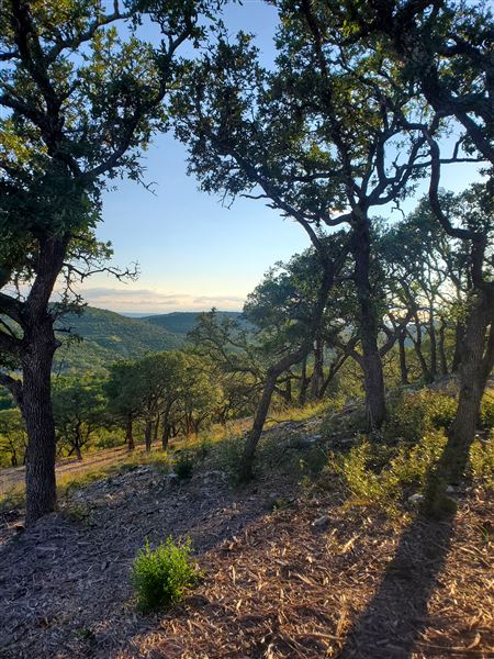 Kestrel Ranch (4/26/2021 - Credits: Kate Marr)