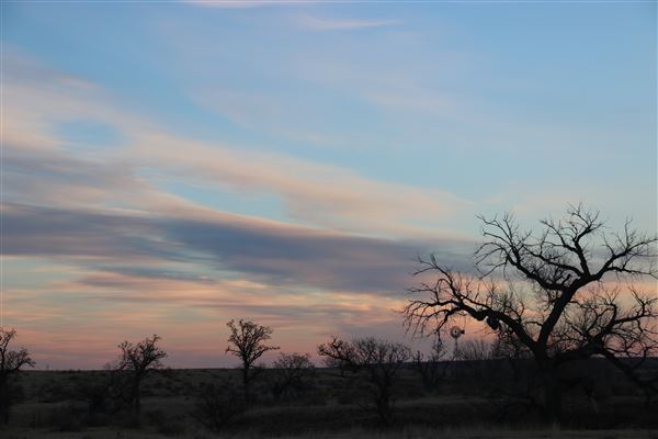 Borger Outskirts (4/30/2022 - Credits: Deidra Thomas; Charles Gillingham)