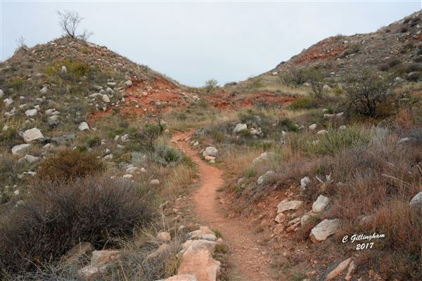 Borger Nature Trail (4/30/2017 - Credits: Charles Gillingham)