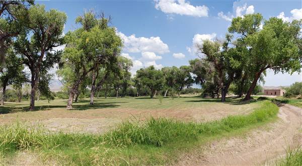 Big Bend National Park - Rio Grande Village (6/12/2010)