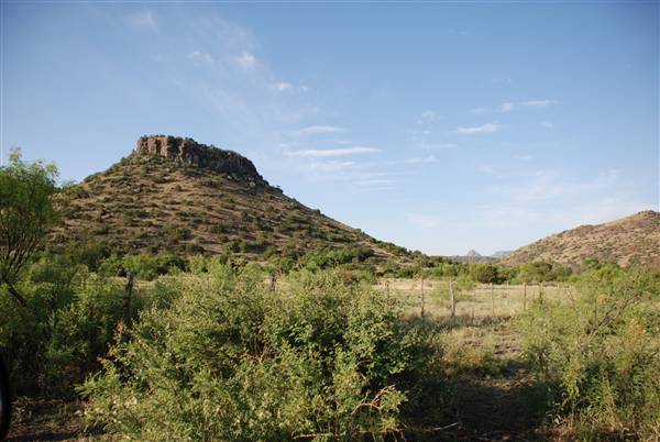 CF Ranch (6/10/2010)