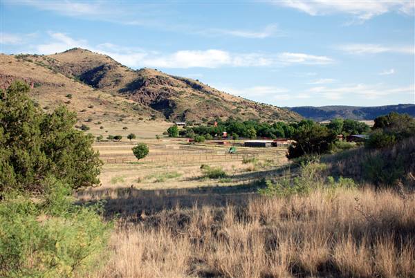 CF Ranch (6/10/2010)