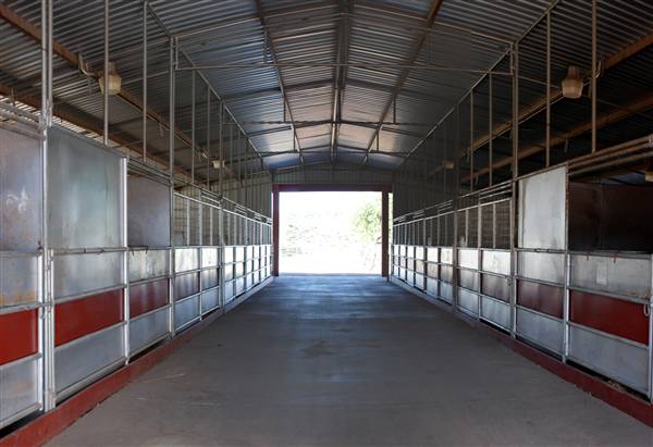 CF Ranch (6/10/2010)