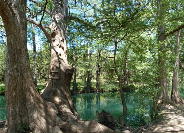 Blue Hole Regional Park (8/25/2010)