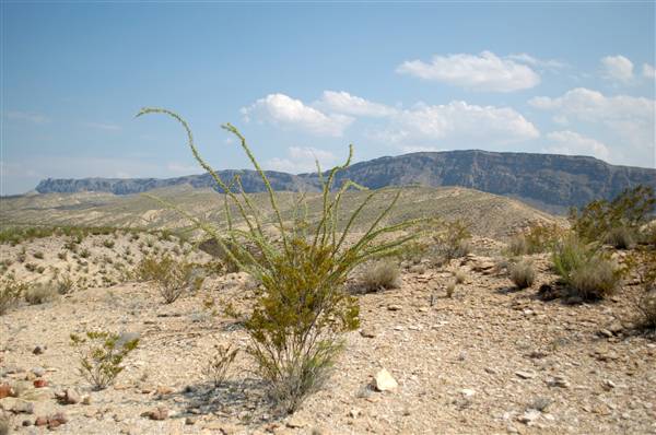 Big Bend Ranch State Park - Barton Warnock Environmental Education Center (9/17/2010)