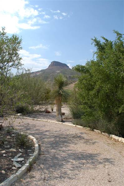 Big Bend Ranch State Park - Barton Warnock Environmental Education Center (9/17/2010)