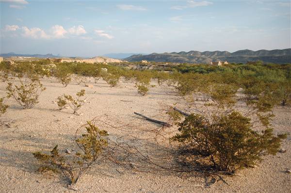 Terlingua Ghost Town (9/20/2010)