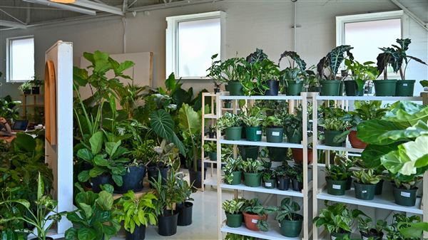 Eden Plant Co. (6/27/2023 - Credits: Houston Film Commission)