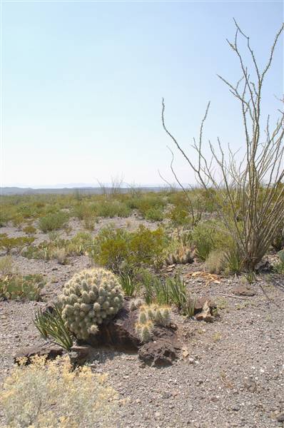 Big Bend Ranch State Park - Vista del Bofecillos (9/23/2010)