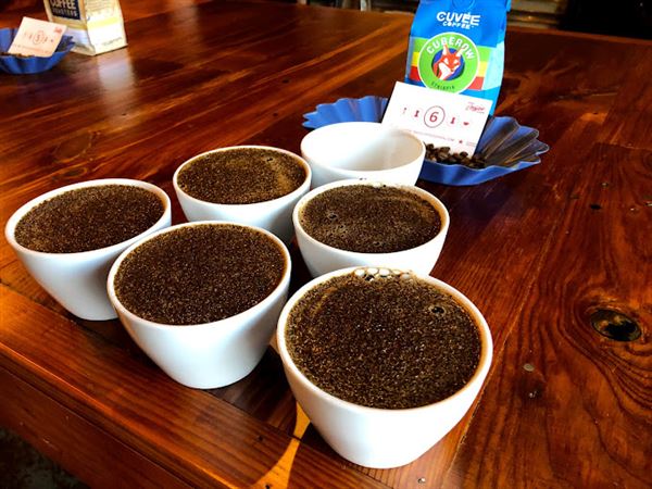 Texas Coffee School (5/1/2023 - Credits: Owner)