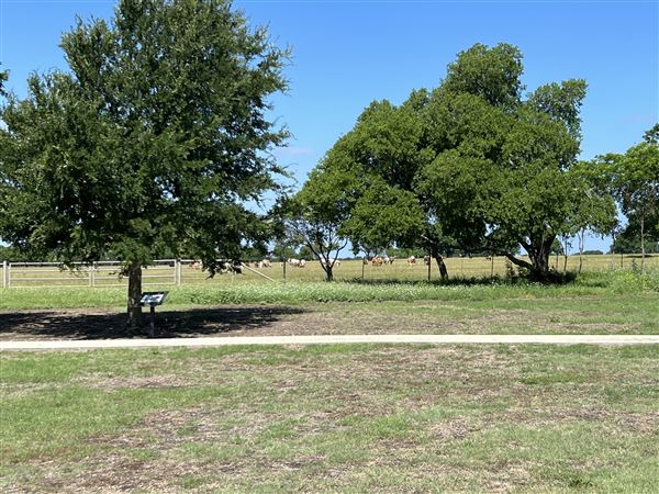 Original Old Celina Park (5/17/2023 - Credits: Melissa Thomas)