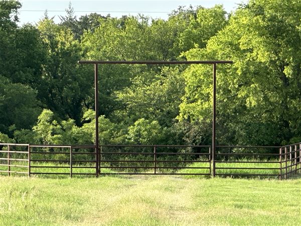 Fairlea Longhorn Ranch (7/20/2023 - Credits: K.Beck)