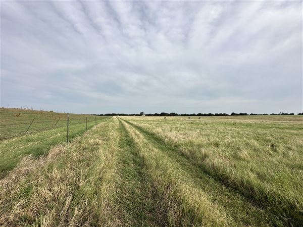 Fairlea Longhorn Ranch (7/20/2023 - Credits: K.Beck)