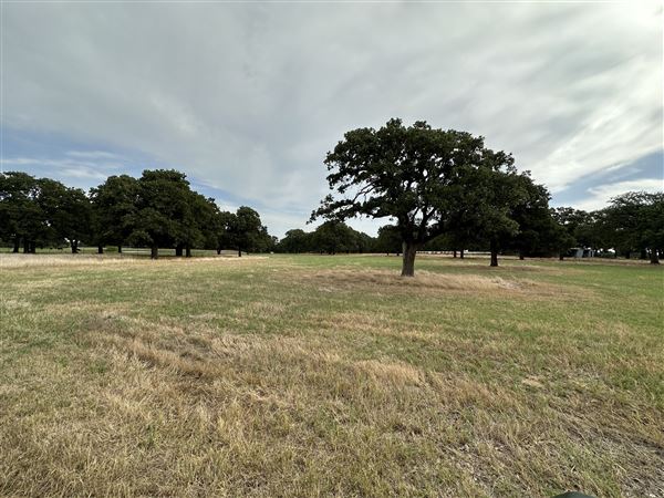 Fairlea Longhorn Ranch (7/20/2023 - Credits: K.Beck)