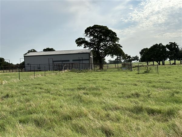 Fairlea Longhorn Ranch (7/20/2023 - Credits: K.Beck)
