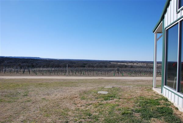 Blue Ostrich Winery & Vineyard (1/27/2023 - Credits: Gabriel Ornelas)