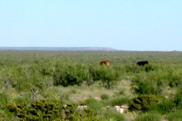 Descent of the Llano Estacado (5/3/2004)