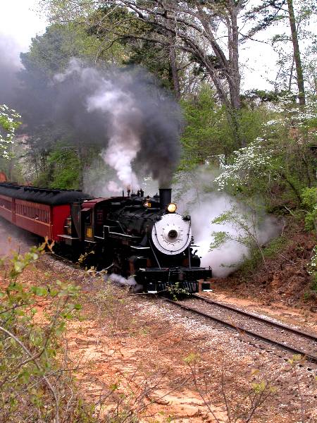 Texas State Railroad (4/4/2002)