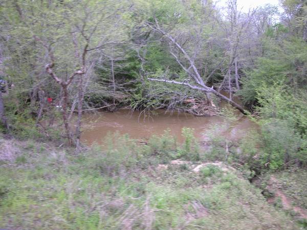 Texas State Railroad (4/4/2002)